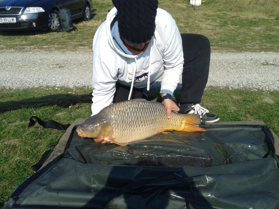 eu - 105572769826676184270754291717255191180066n1.jpg